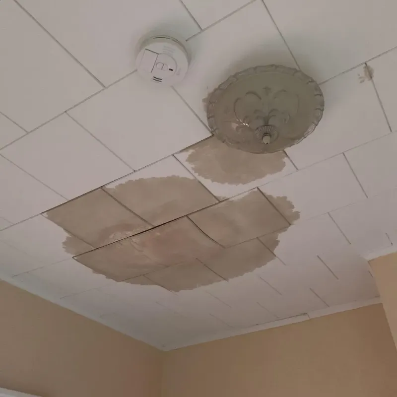 Ceiling Water Damage Repair in Pass Christian, MS