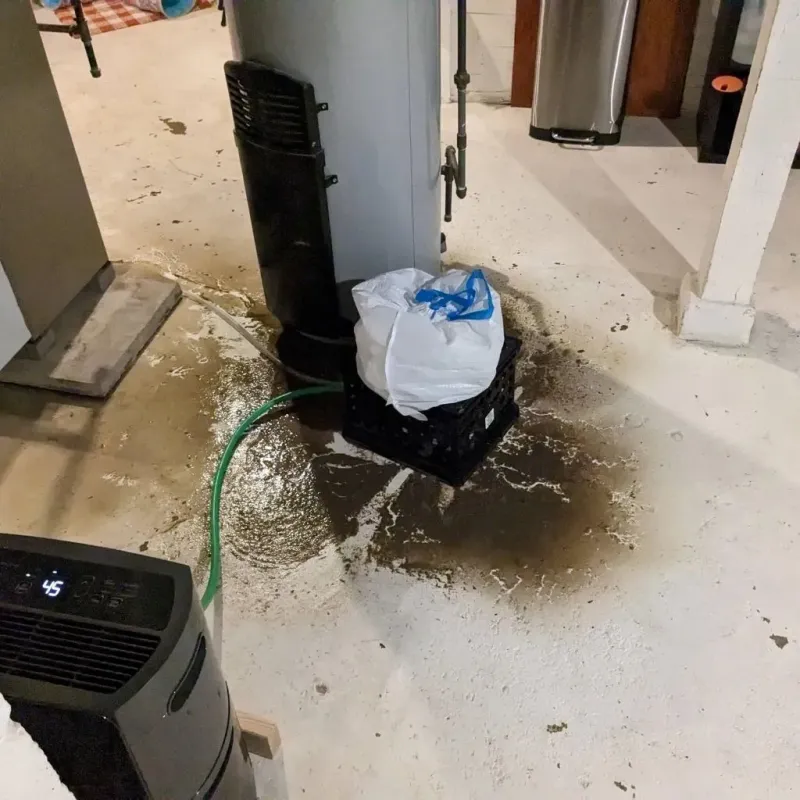 Sewage Backup Cleanup Service in Pass Christian, MS